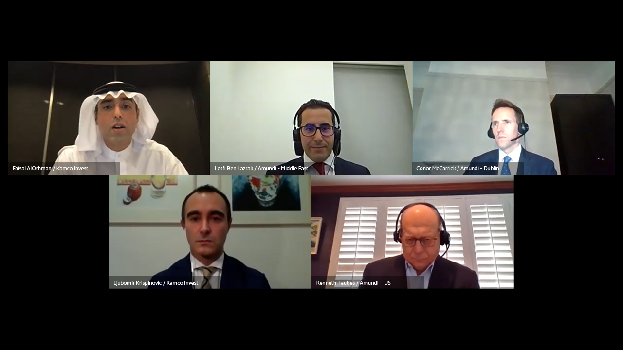 Screenshot from the webinar